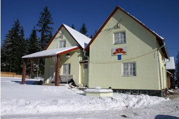 România Privát Izvorul Mureşului, Exteriorul